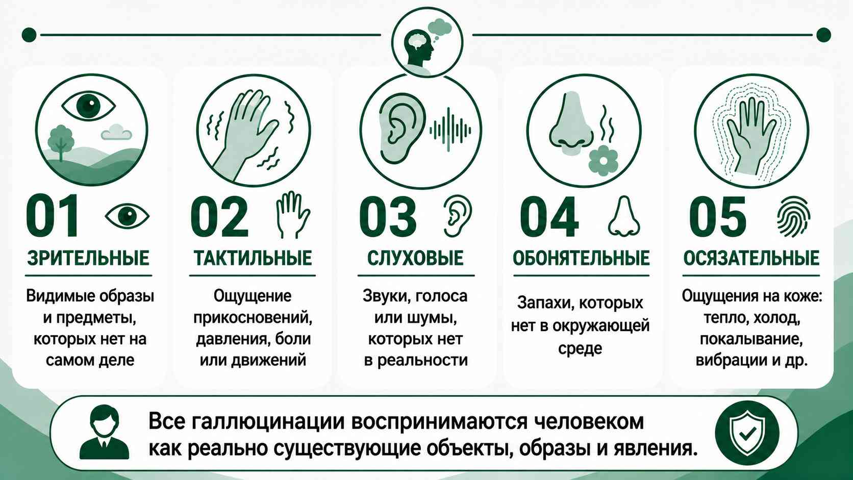 Схема с основными видами галлюцинаций по органам чувств: зрительные, тактильные, слуховые, обонятельные и осязательные, с кратким описанием каждого типа.